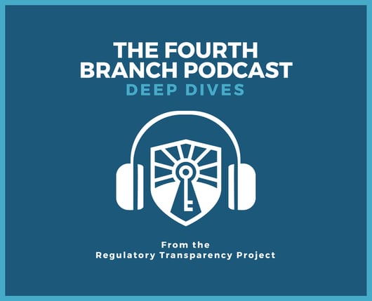 Welcome to the “Deep Dive Podcast”